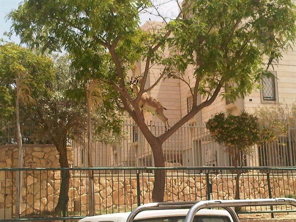 أجنحة رامون الفندقية ميتزبي رامون المظهر الخارجي الصورة
